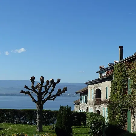 Holiday home La Pointe D'yvoire